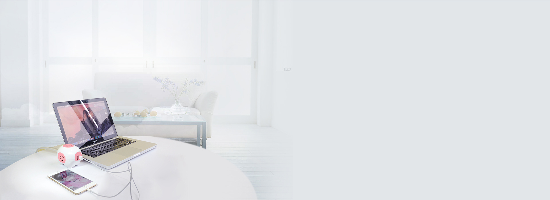 智能分配，充電迅速 2個2.1A的US...