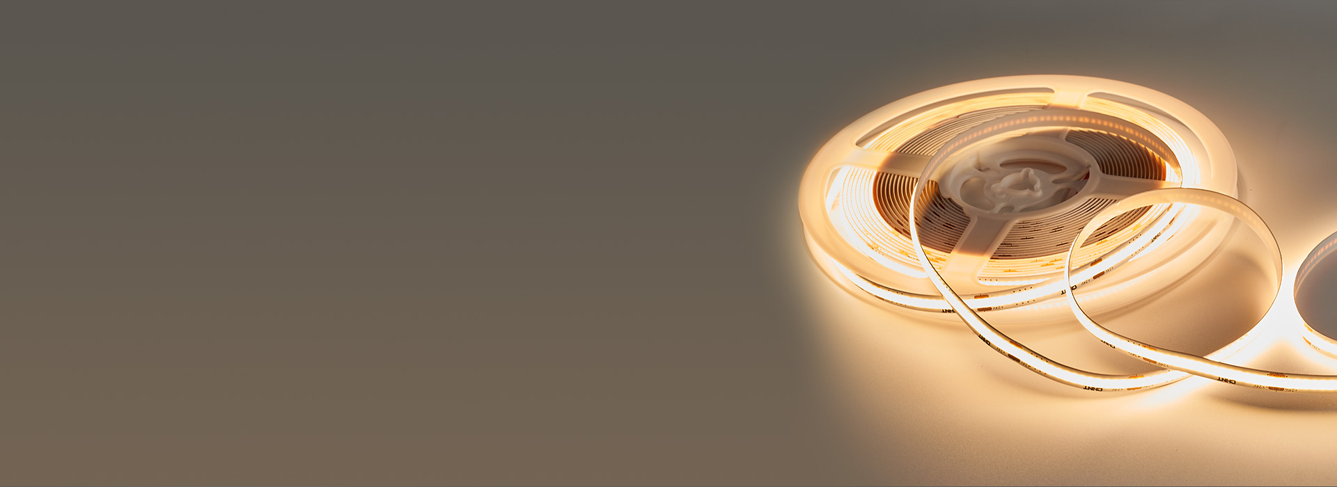 燈帶：DD42/DD43系列 邂逅心動...