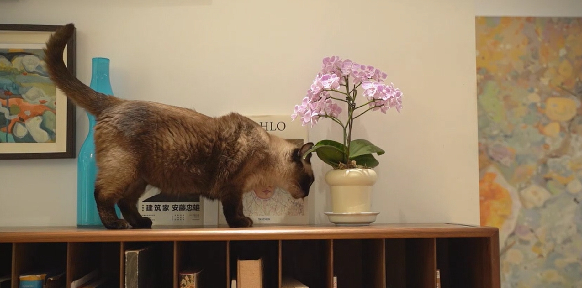 888集團T7開關業主探訪錄（2）