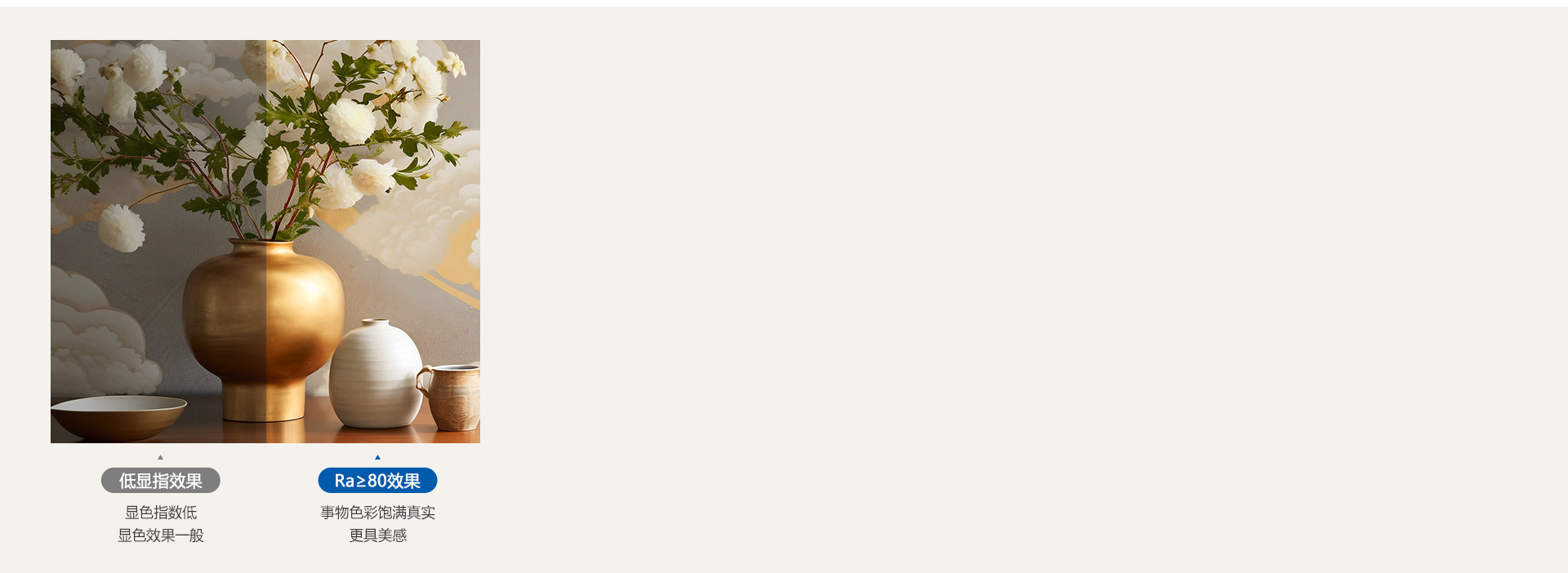 看見本真之美 顯色指數(shù)Ra≥80，光線...